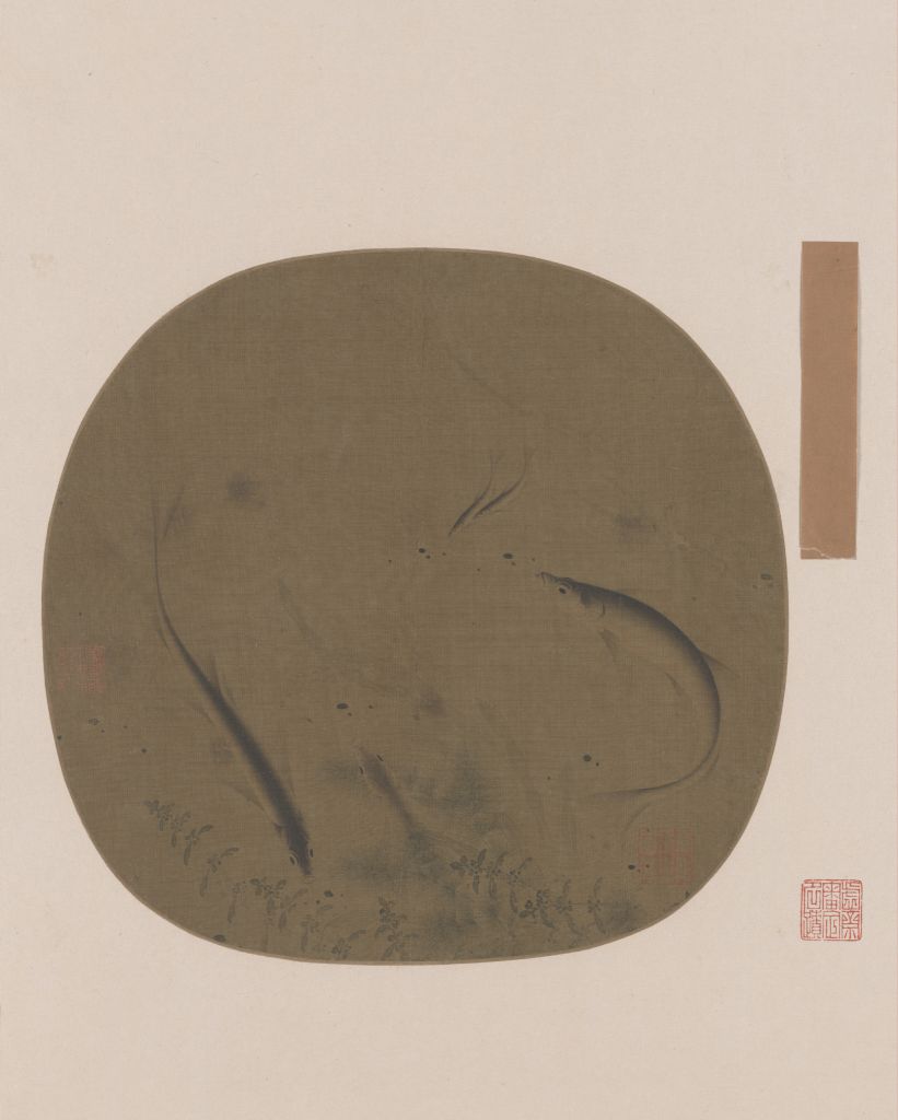 图片[1]-Picture page of fish playing with algae-China Archive